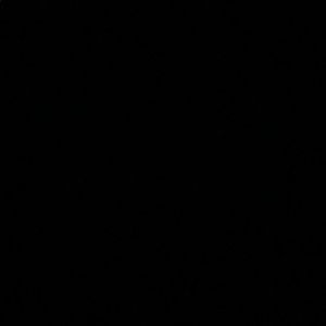 Meet your Posher, Beverly